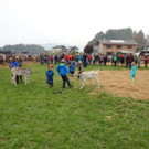 DSC03811.jpg