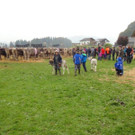 DSC03812.jpg