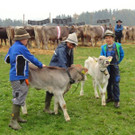 DSC03814.jpg