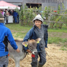 DSC03815.jpg