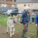 DSC03824.jpg
