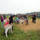 DSC03829.jpg