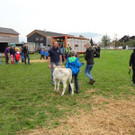 DSC03830.jpg