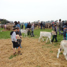 DSC03835.jpg