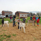 DSC03836.jpg