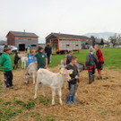 DSC03837.jpg