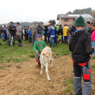 DSC03838.jpg