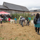 DSC03840.jpg