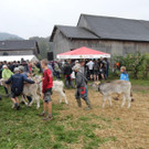 DSC03843.jpg