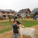DSC03846.jpg