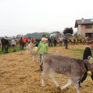 DSC03847.jpg