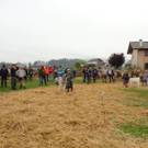 DSC03849.jpg