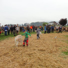 DSC03851.jpg