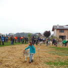 DSC03857.jpg