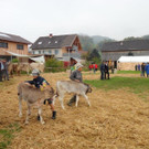 DSC03862.jpg