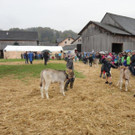 DSC03863.jpg