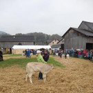 DSC03865.jpg