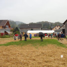 DSC03866.jpg