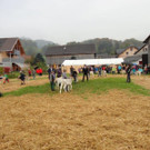 DSC03867.jpg