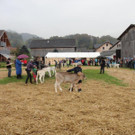 DSC03868.jpg