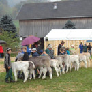 DSC03874.jpg