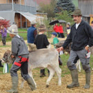 DSC03877.jpg