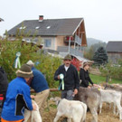 DSC03884.jpg