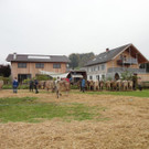 DSC03896.jpg