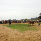 DSC03898.jpg