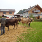 DSC03905.jpg