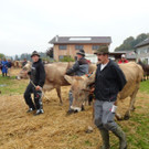 DSC03906.jpg