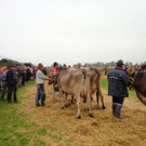 DSC03907.jpg