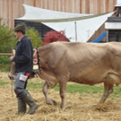 DSC03910.jpg