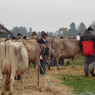 DSC03914.jpg