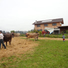 DSC03917.jpg