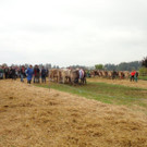 DSC03923.jpg