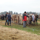 DSC03924.jpg