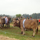 DSC03925.jpg