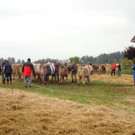 DSC03926.jpg