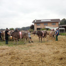 DSC03930.jpg