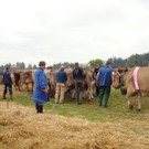 DSC03933.jpg