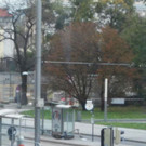 l6.jpg