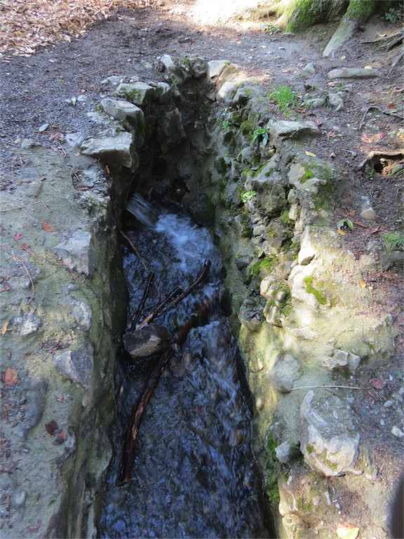 BK_Wassertrete Tosters 8.jpg