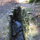 BK_Wassertrete Tosters 8.jpg