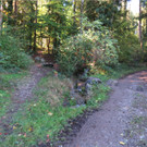 BK_Wassertrete Tosters 4.JPG