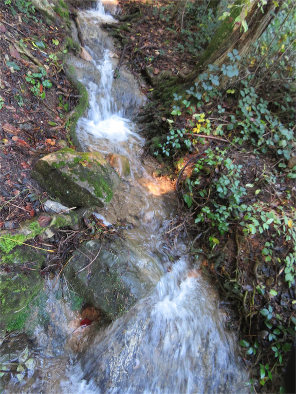 BK_Wassertrete Tosters 5.jpg