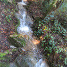 BK_Wassertrete Tosters 5.jpg