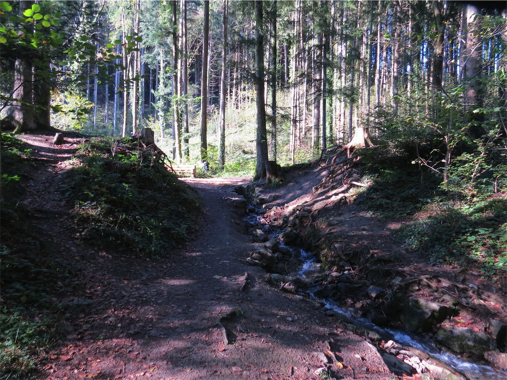 BK_Wassertrete Tosters 6.JPG