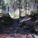 BK_Wassertrete Tosters 6.JPG