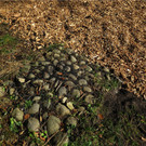 BK_Wassertrete Tosters 10.JPG